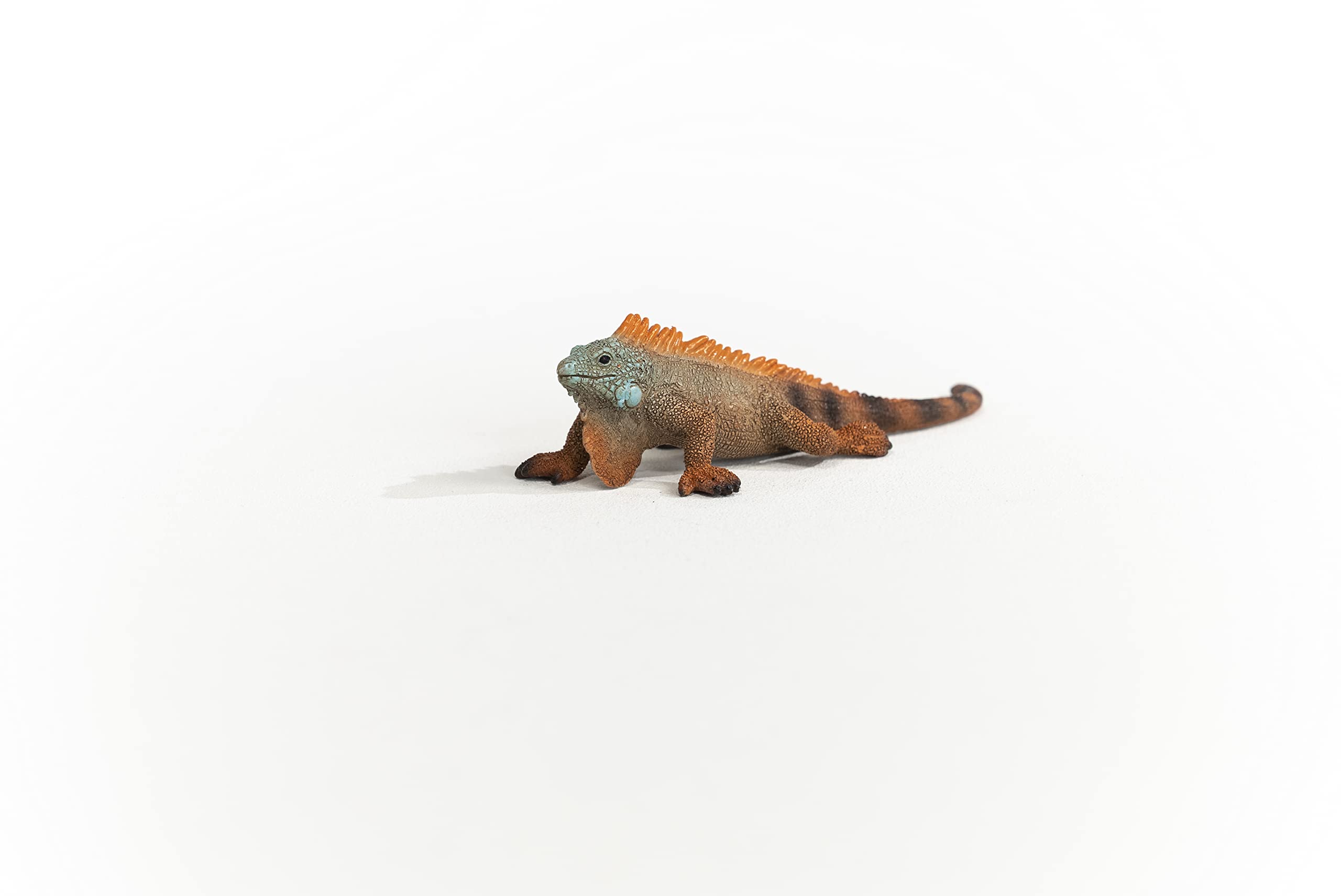 SCHLEICH Iguana Wildlife Figurine - Realistic Reptile Toy for Kids 6