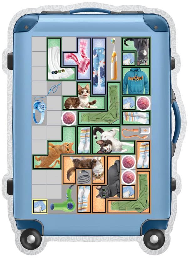 Wise Wizard Games Pack the Essentials The Board Game 3