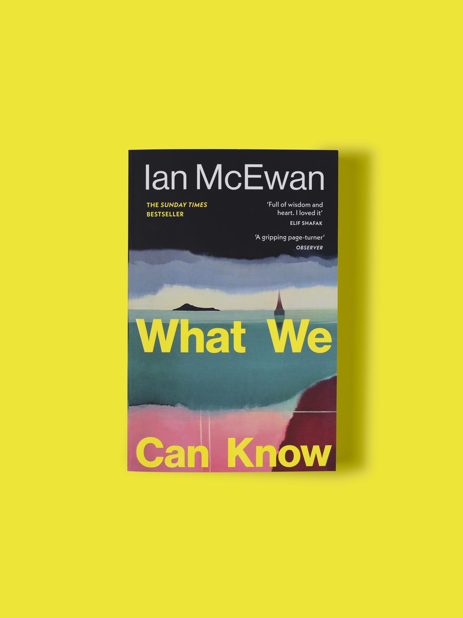 Vintage What We Can Know by Ian McEwan | Post-Apocalyptic Paperback