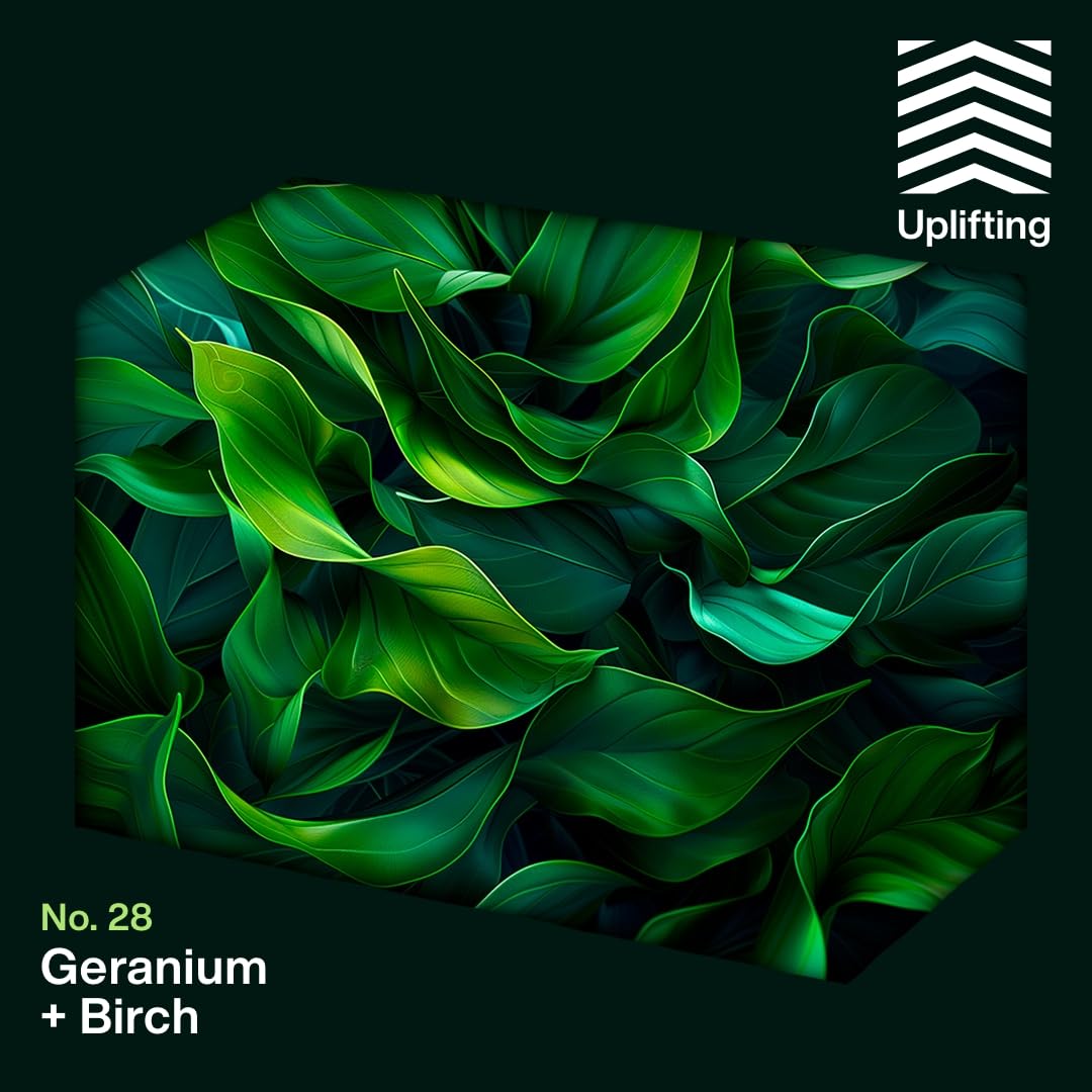 INEOS - Geranium + Birch Non-Bio Laundry Capsules (24 Washes) 3