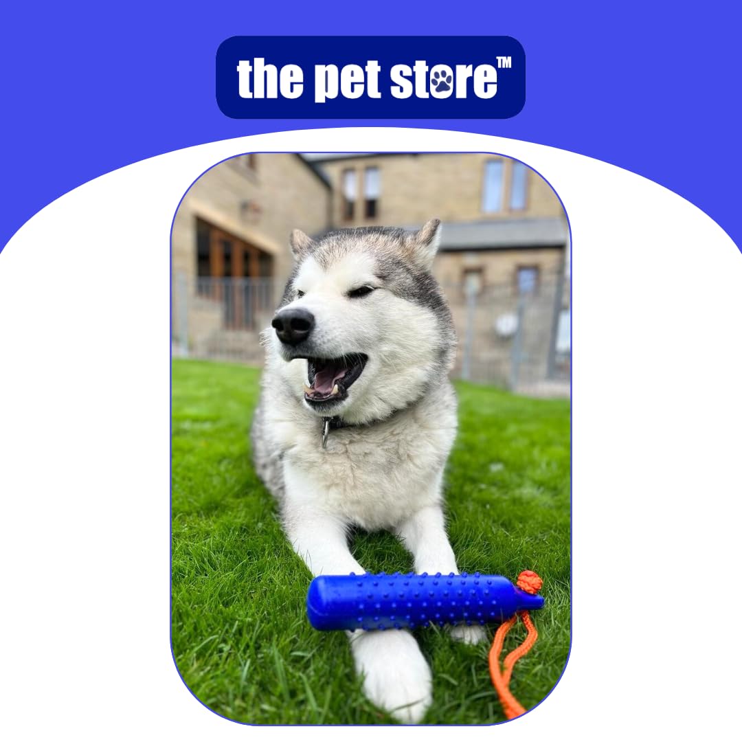Pet Store Gorilla Tuff Floating Training Dummy - Durable TPR, Emperor Blue | Floats 5