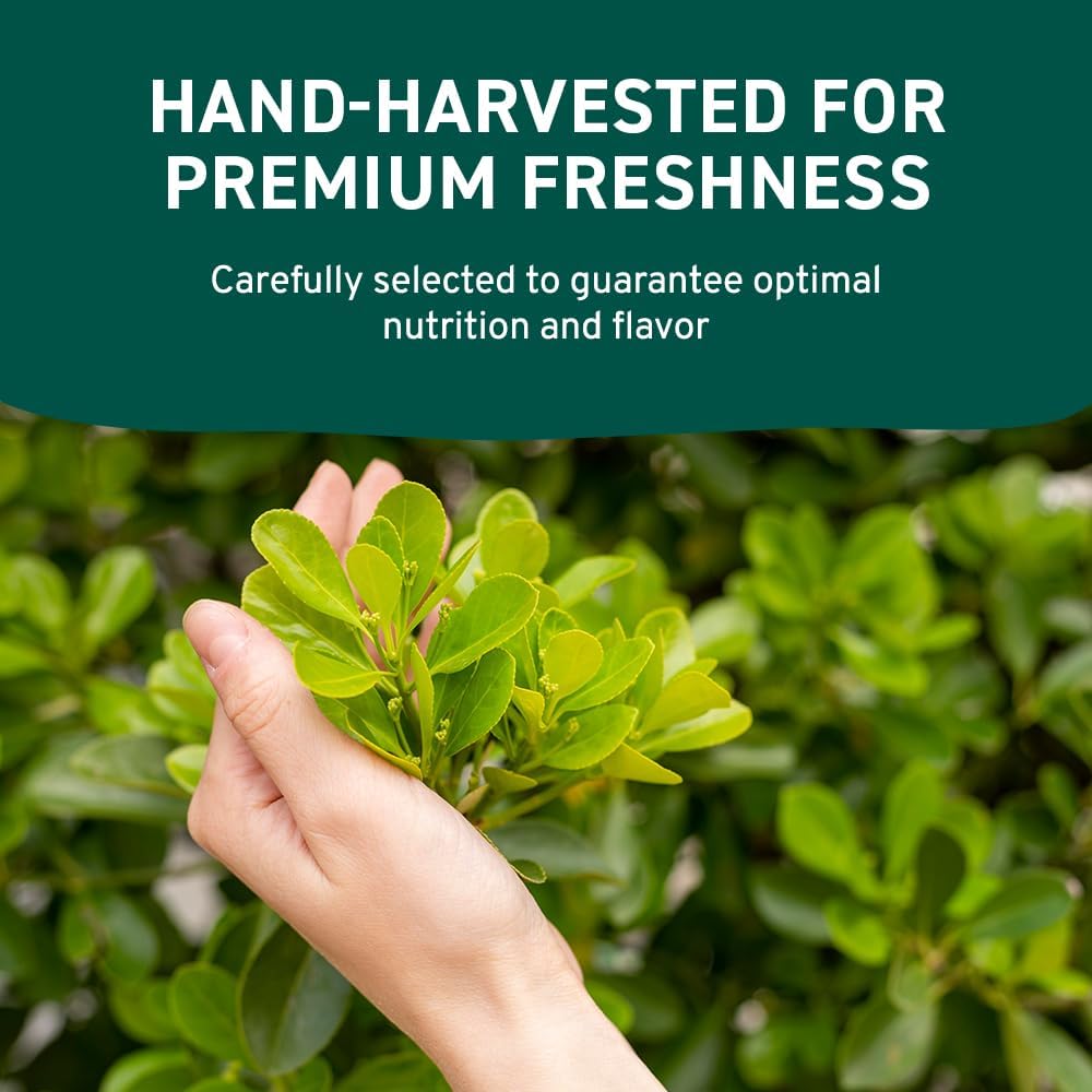 HANDPICK Moringa Powder (500g) - Pure Moringa Oleifera Leaves | Non-GMO, Gluten-Free | Resealable Pouch for Smoothies, Tea & Cooking 6