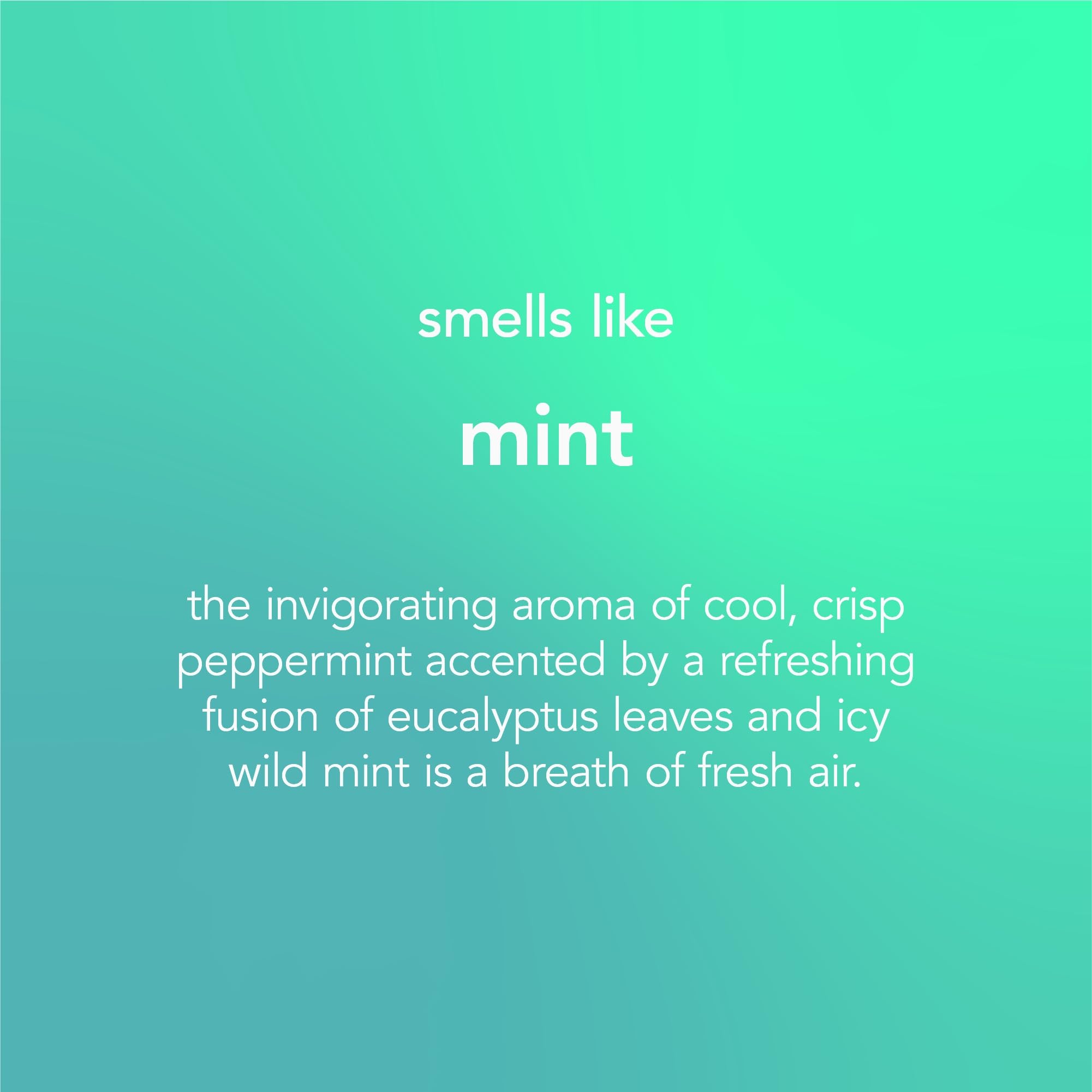 Method - Glass Cleaner Spray Mint 828 ml 7