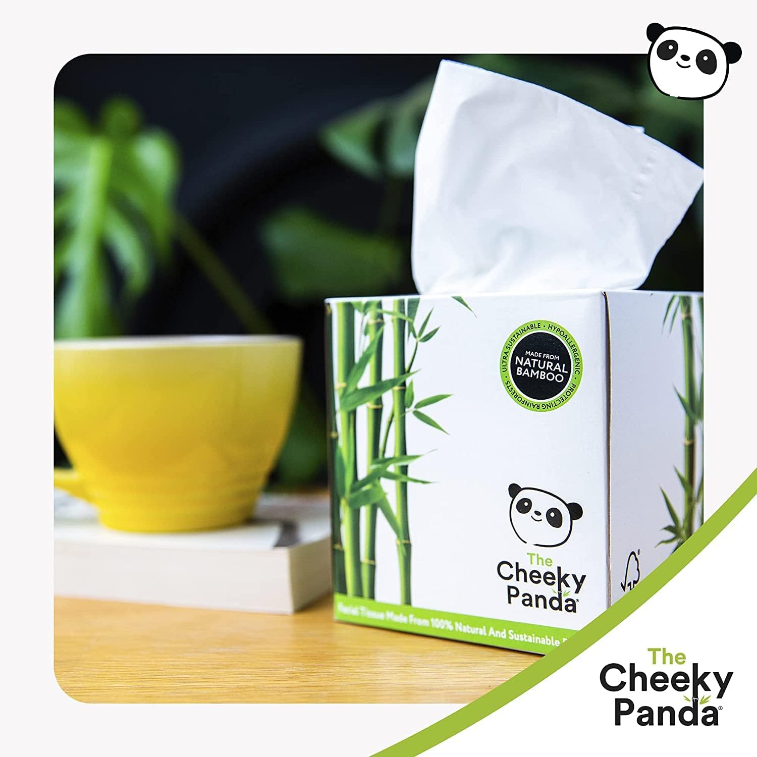 The Cheeky Panda - 100% Bamboo Facial Tissue Cube (Pack of 56) 4