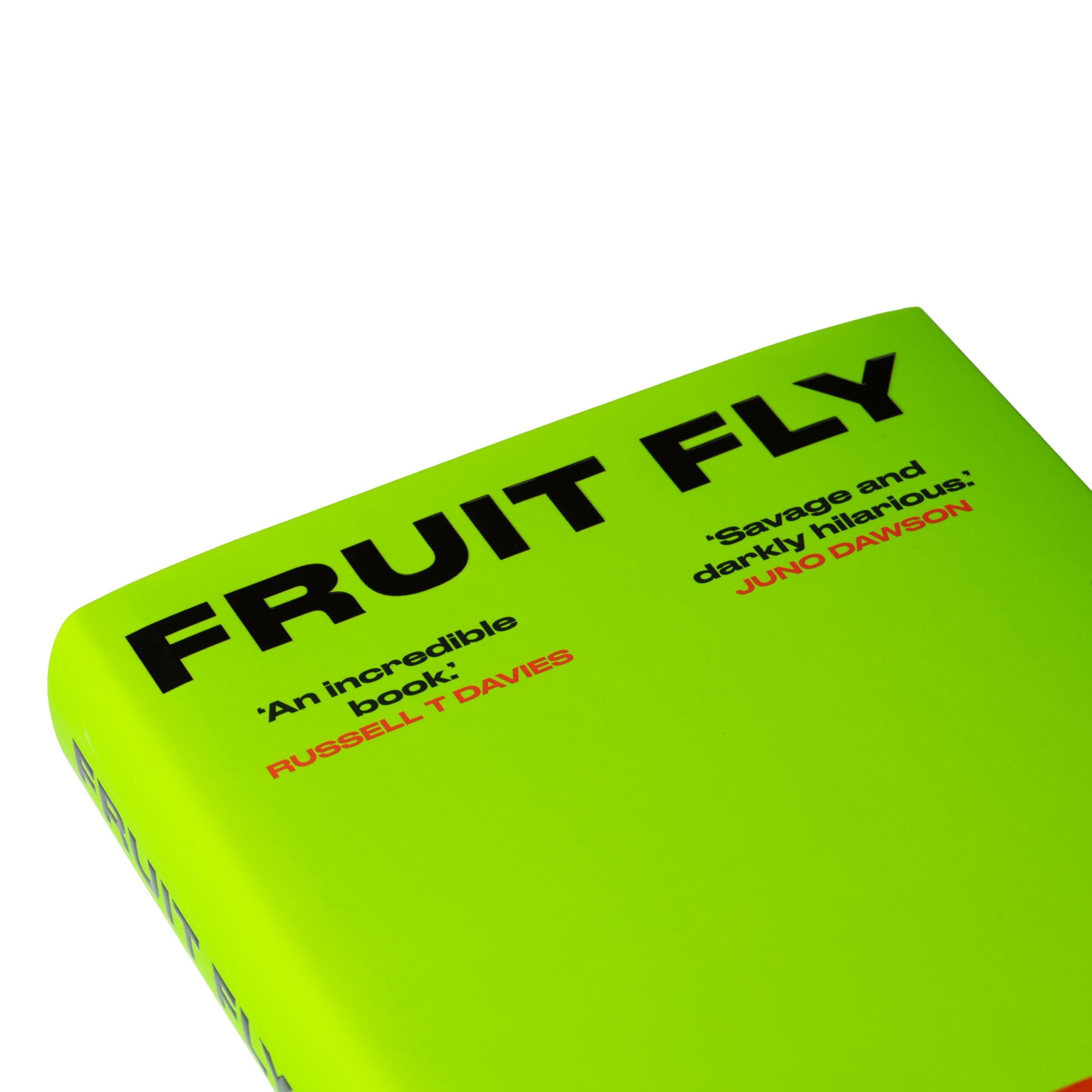 Josh Silver - Fruit Fly | A Darkly Funny Literary Satire [Hardcover] 7
