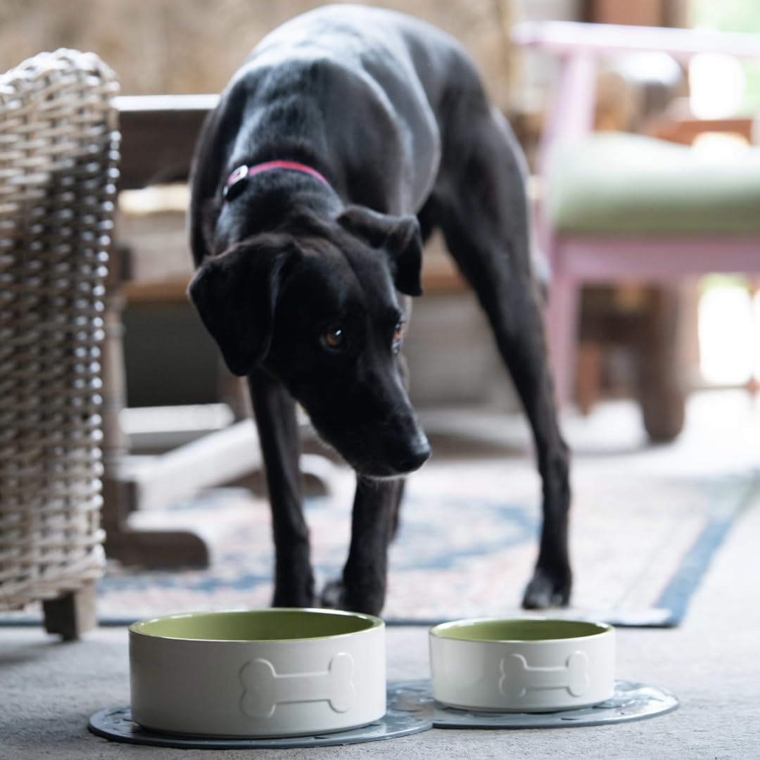 Petface Ceramic Bone Dog Bowl - 20 cm Diameter | Durable Ceramic | Easy Clean 6