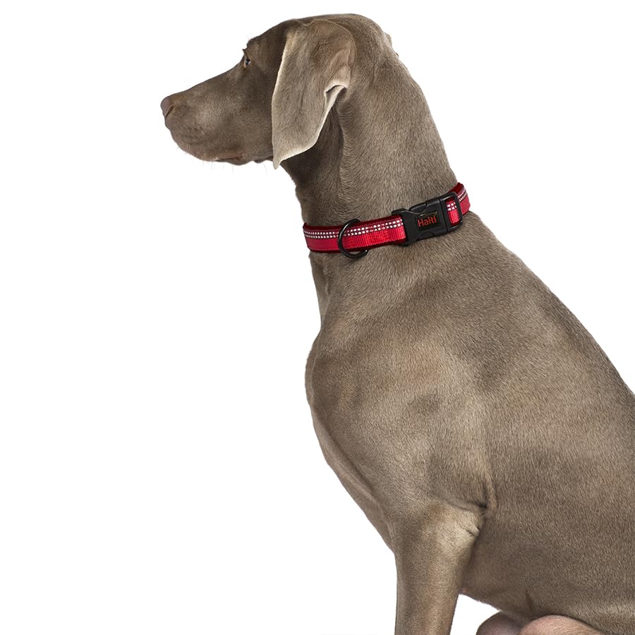 Halti Basic Collar - Large Size, Black | Durable Nylon & Neoprene Lining | Reflective Strip 3