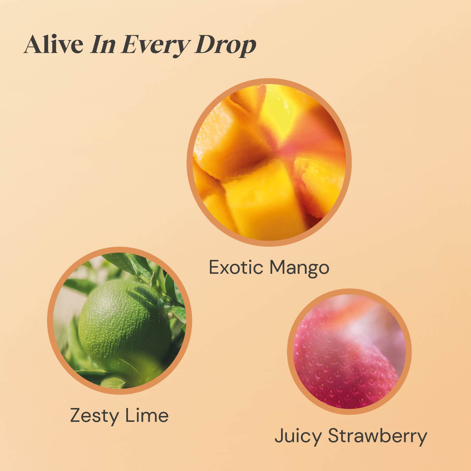 Twinings Mango Strawberry & Lime Fruit Tea 80 Bags (4 x 20) Caffeine Free 3