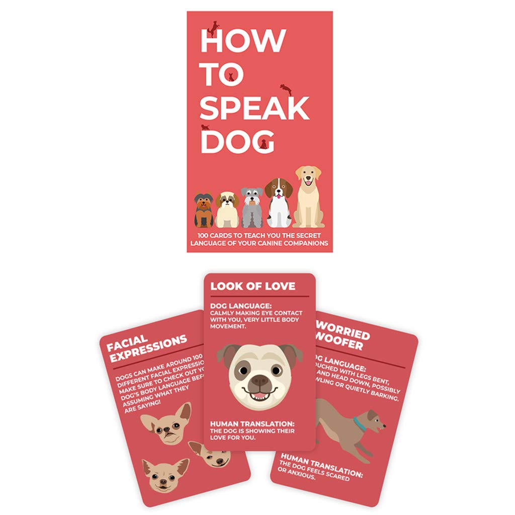 Gift Republic Dog Behaviour Cards - 100 Cards for Understanding Dog Language | Unisex Adult 1