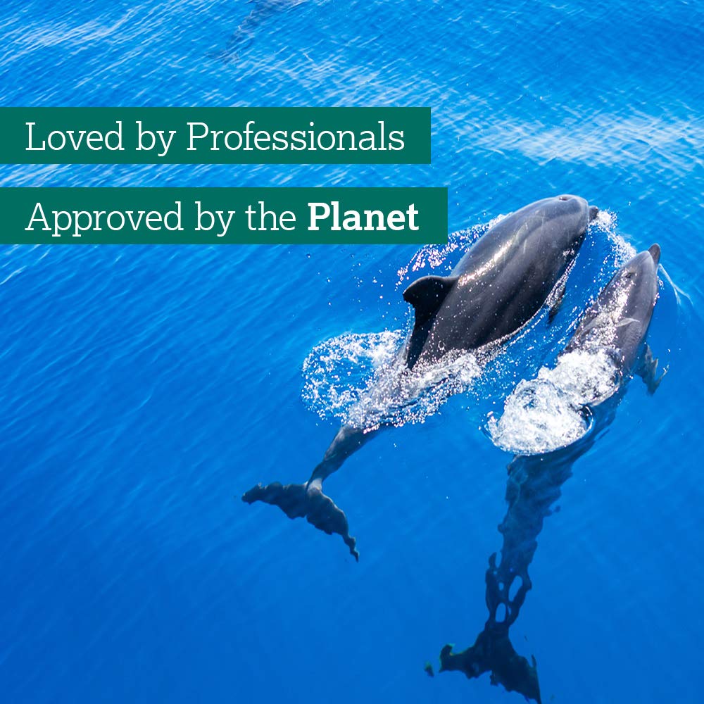 Delphis Eco - Washing Up Liquid 500ml | Natural, Plant-Based, Vegan Friendly 5