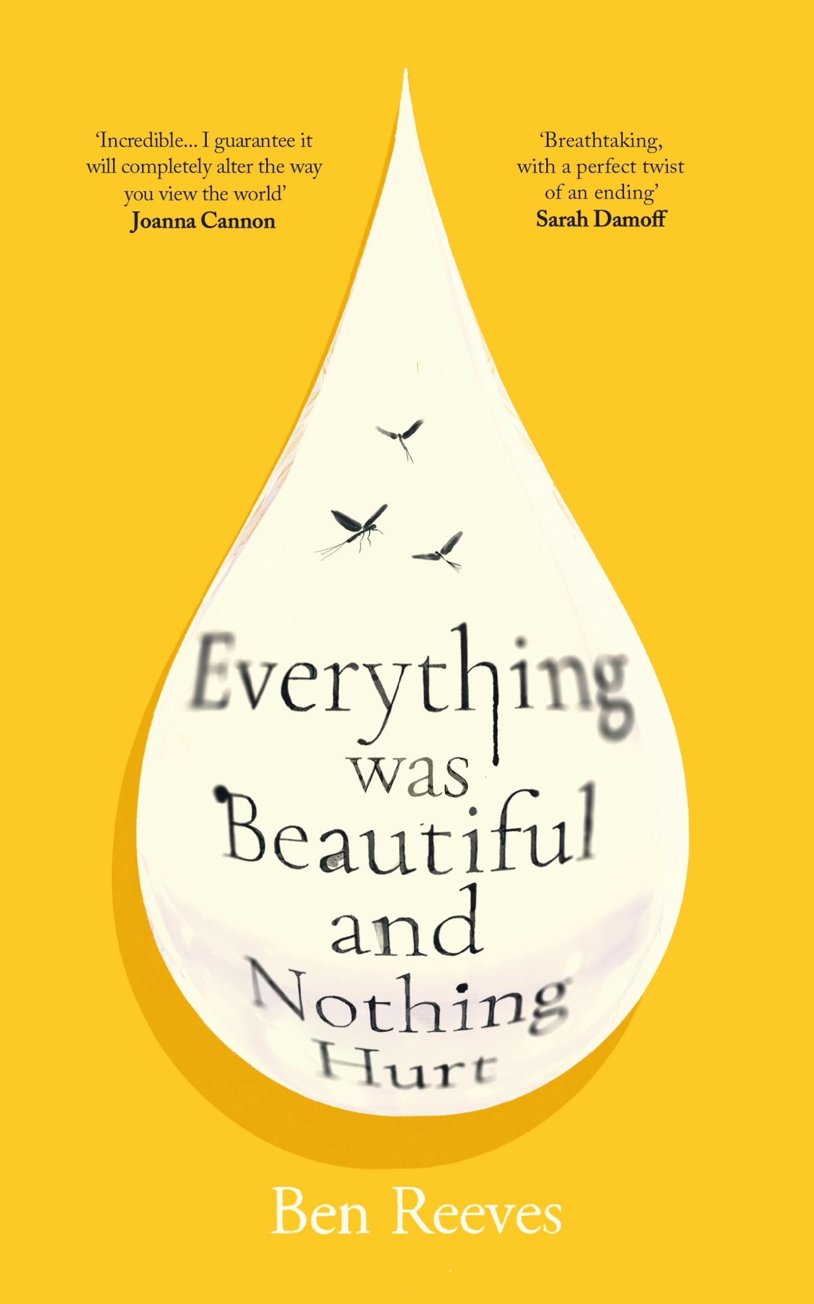 Everything Was Beautiful and Nothing Hurt: The gorgeous, uplifting top ten by Ben Reeves (Hardcover)