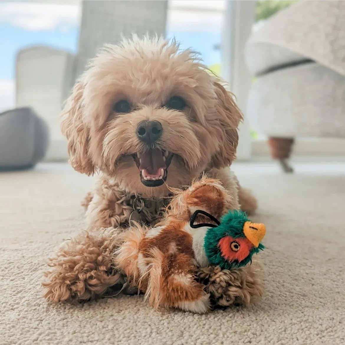 House of Paws Pheasant Dog Toy - Extra Large Plush Squeaker for Dogs | Polyester 4