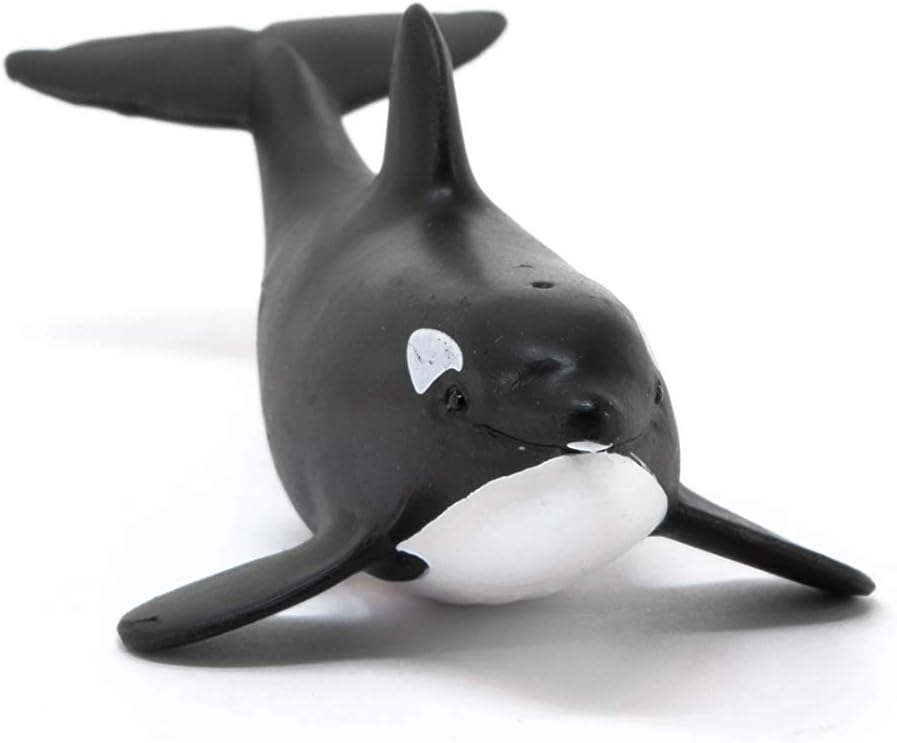 Schleich 14836 Baby Orca Wild Life - Authentic Collectible Animal Figure for Kids 4