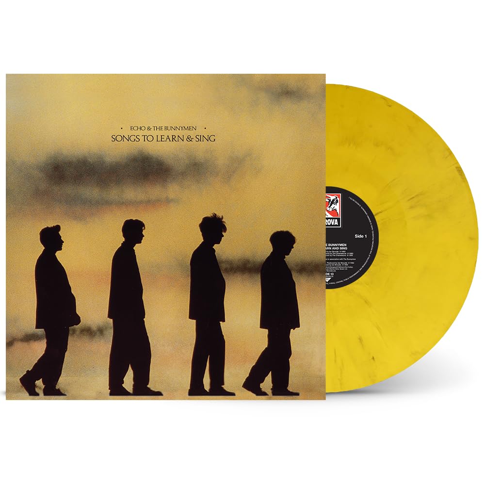 Echo & The Bunnymen - Songs to Learn & Sing [Vinyl]