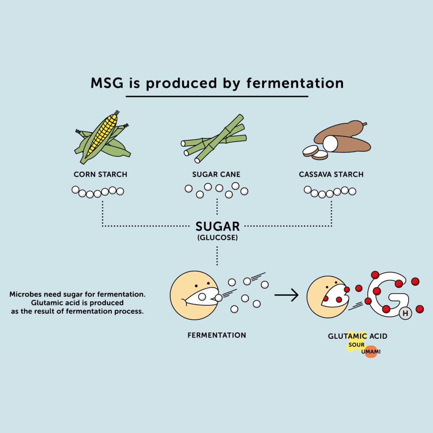 Ajinomoto Monosodium Glutamate, 454 g 6