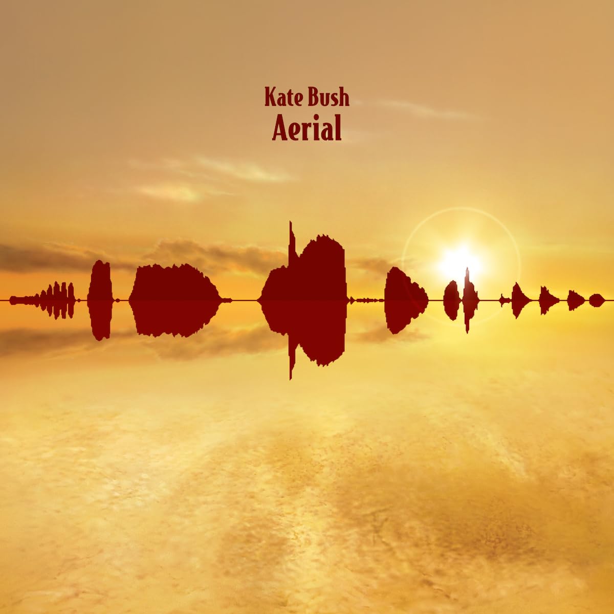 Kate Bush - Aerial [2LP Vinyl] 1