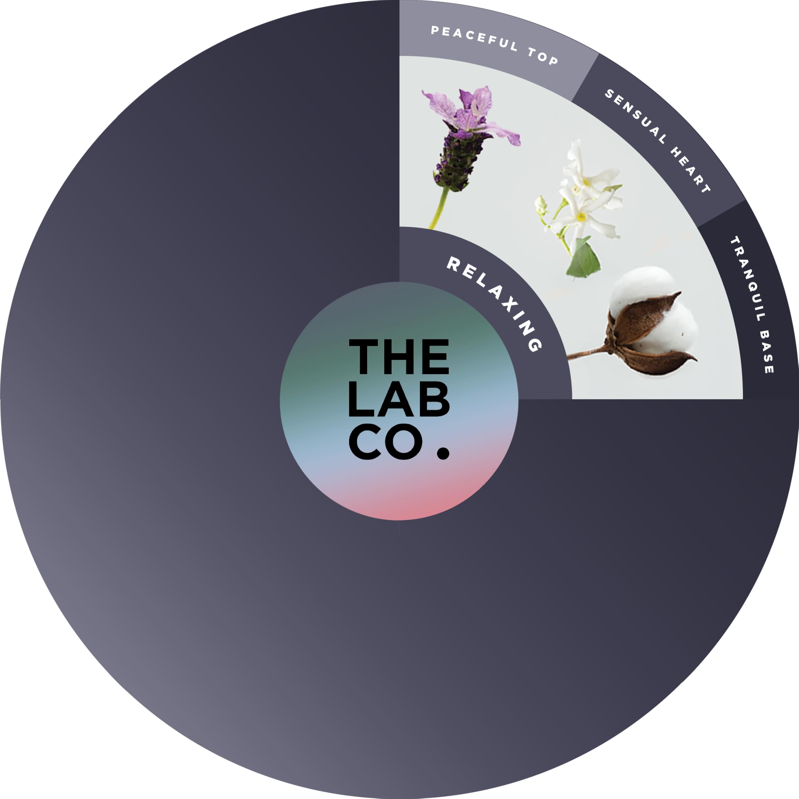 The Lab Co. - Non-Bio Fabric Conditioner Laundry Softener (1 Litre)