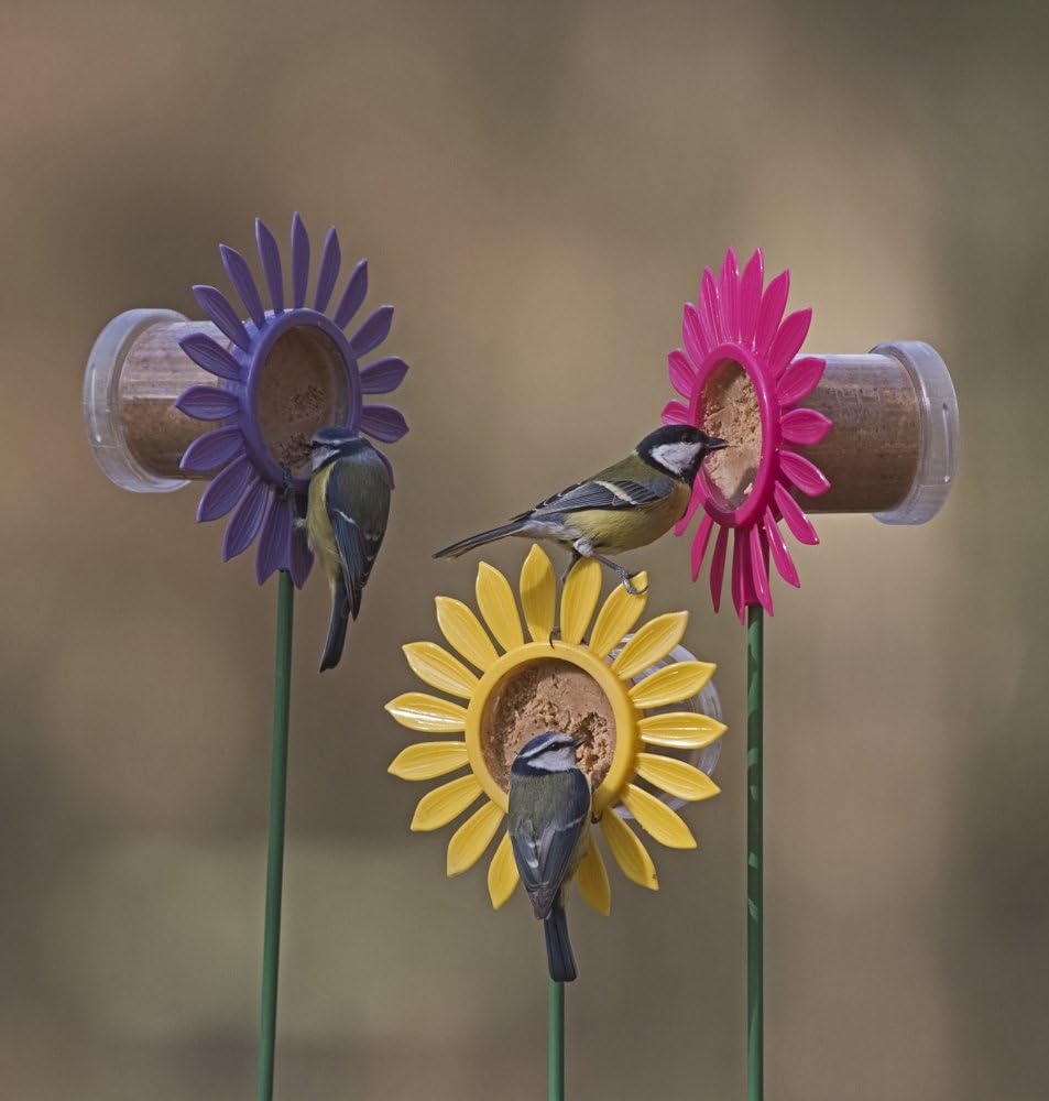 Jacobi Jayne FB-PB3 Flutter Butter Buggy Pods, 3er-Packung x 170 g 7