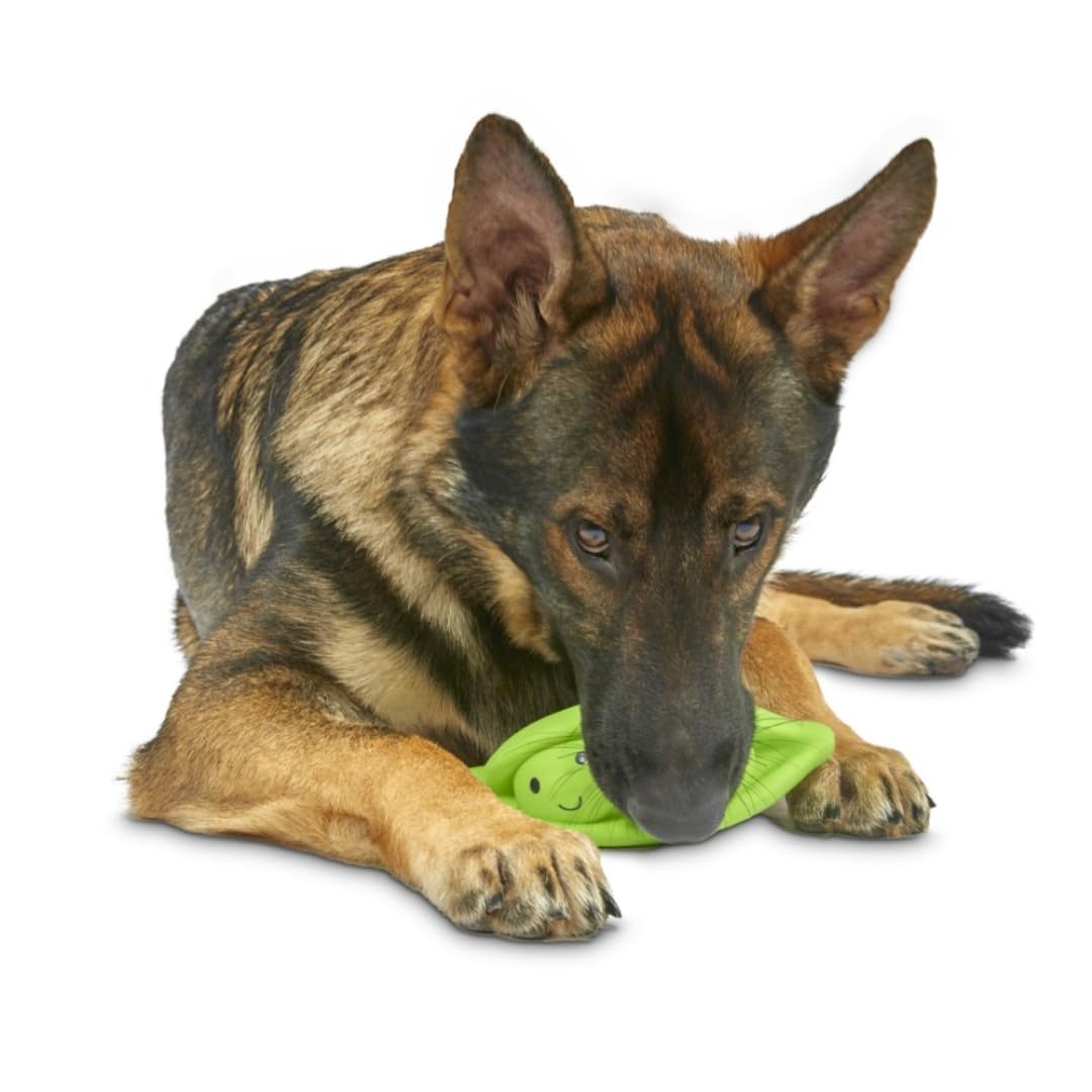 Petface Latex Pea Pod Soft Chew Dog Toy - Large Size | Built-in Squeaker | Natural Rubber
