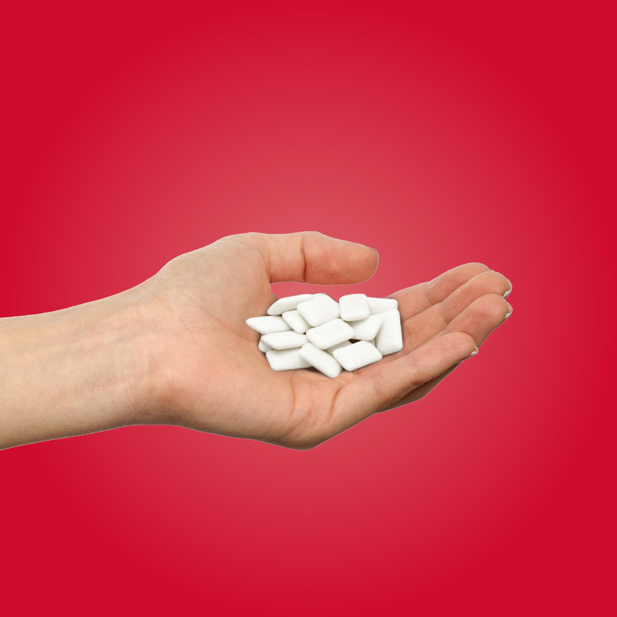 PUR - Natural Cinnamon Sugar-Free Chewing Gum, 55 Pieces (Pack of 1)