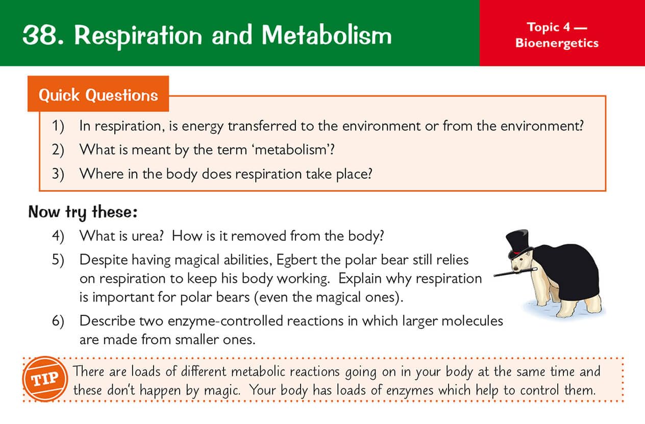 CGP 9-1 GCSE Biology AQA Revision Question Cards | Catch-up & Exam Prep | 95 Cards 8