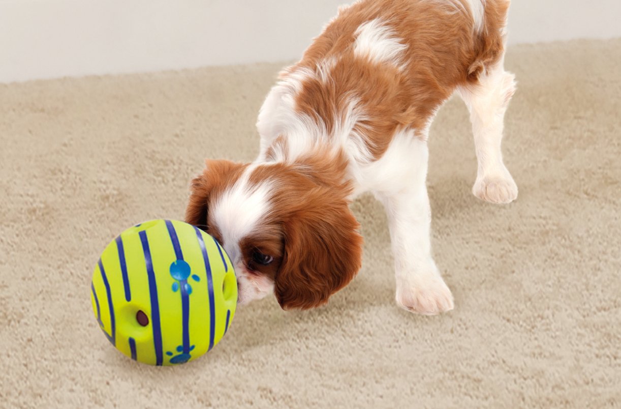 Wobble Wag Giggle Interactive Sound Dog Toy Ball | Medium Size | Green Vinyl