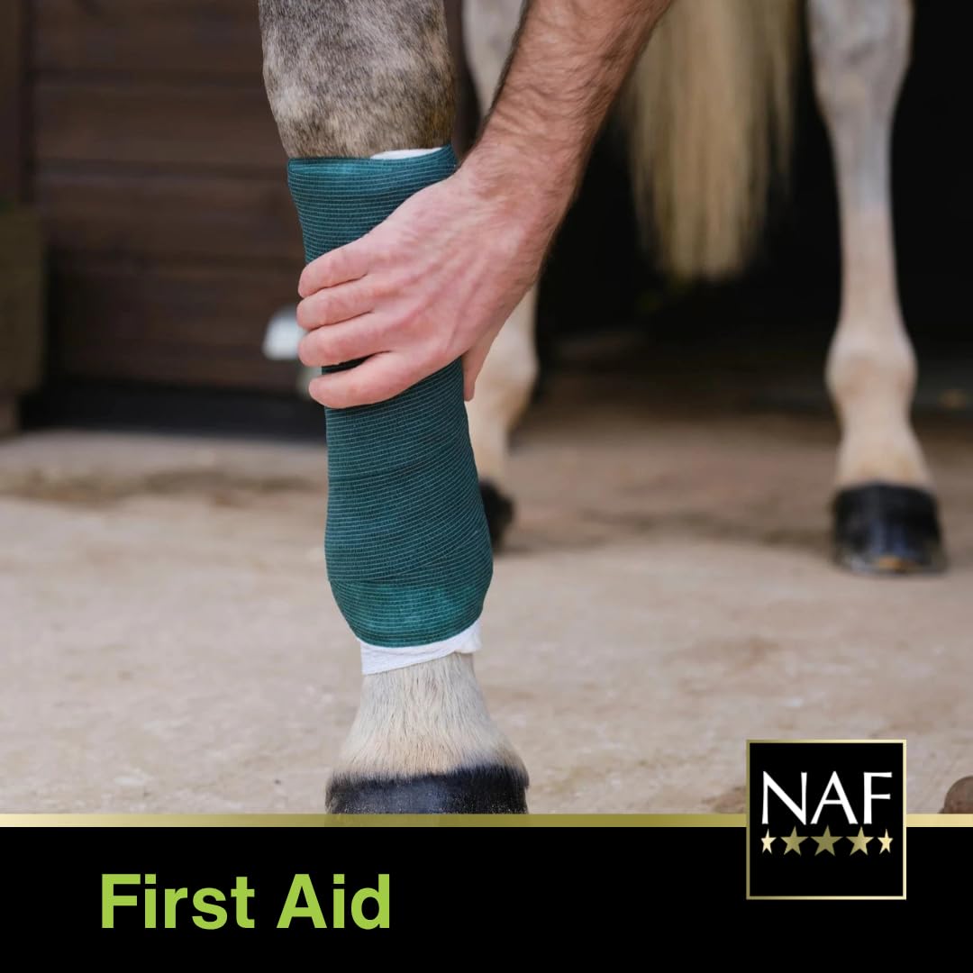 NAF NaturalintX Hoof Poultice - Single Use Dressing for Hoof Abscesses, Bruises, and Inflammation | 29g 4