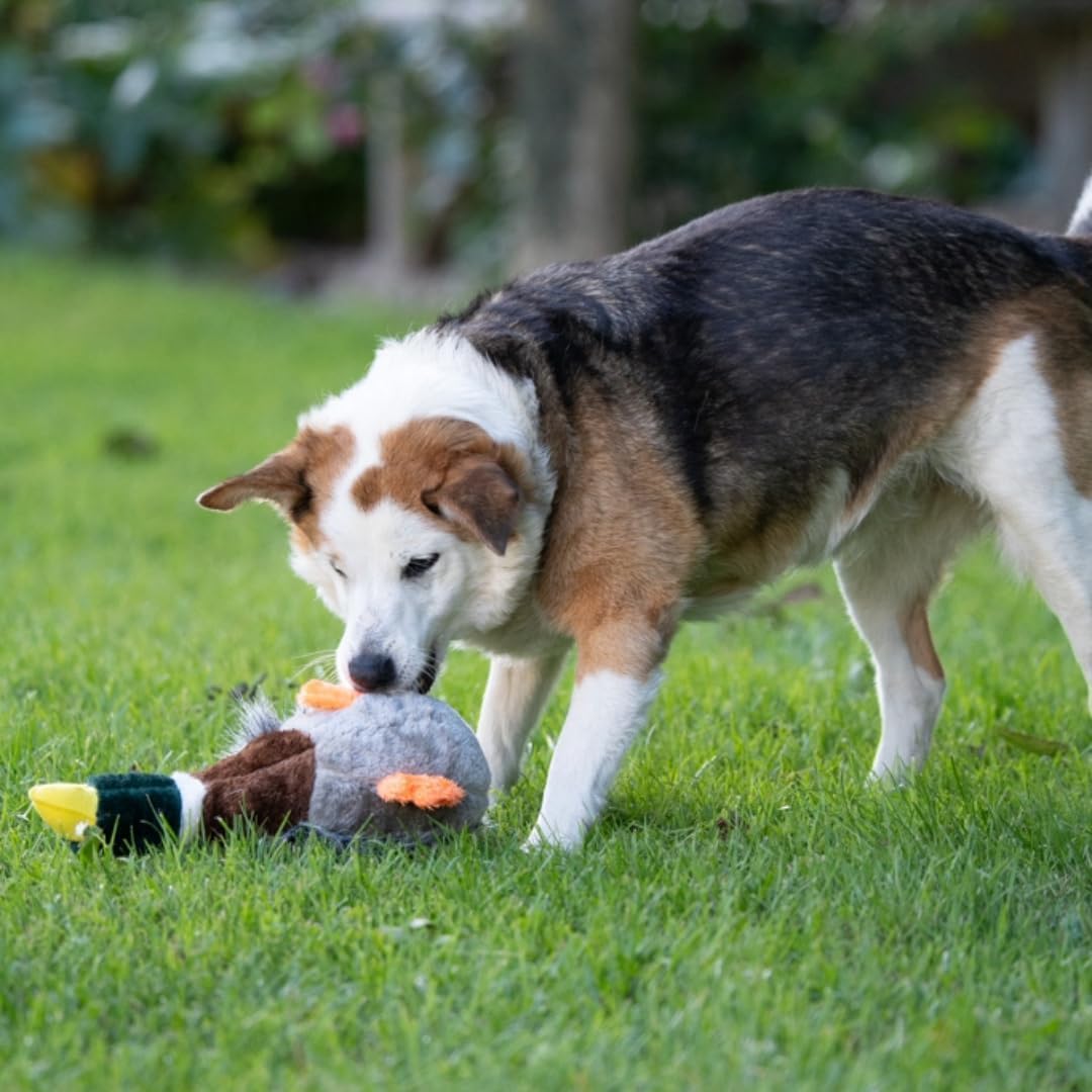 Petface Honking and Squeaky Duck Plush Dog Toy | Durable Material | Unscented 4