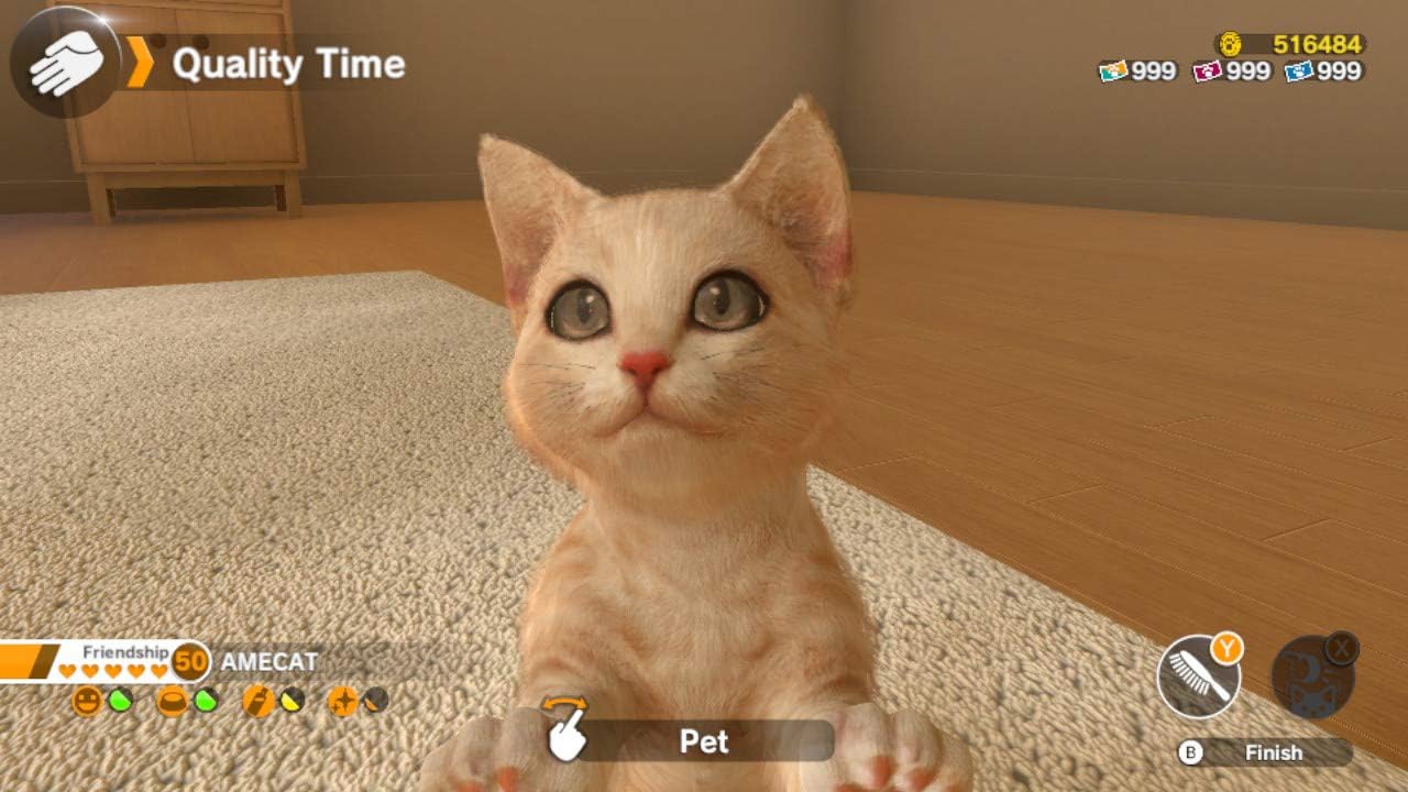 Little Friends: Dogs & Cats - Nintendo Switch 3