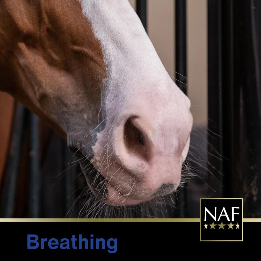 NAF Easy Breathing Respiratory Support Liniment Powder for Horses | 1 kg 4