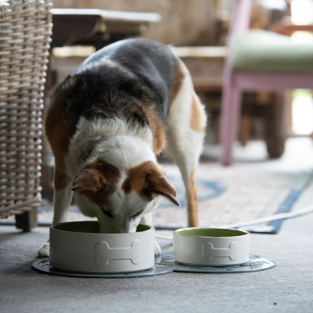 Petface Ceramic Bone Dog Bowl - 20 cm Diameter | Durable Ceramic | Easy Clean 5