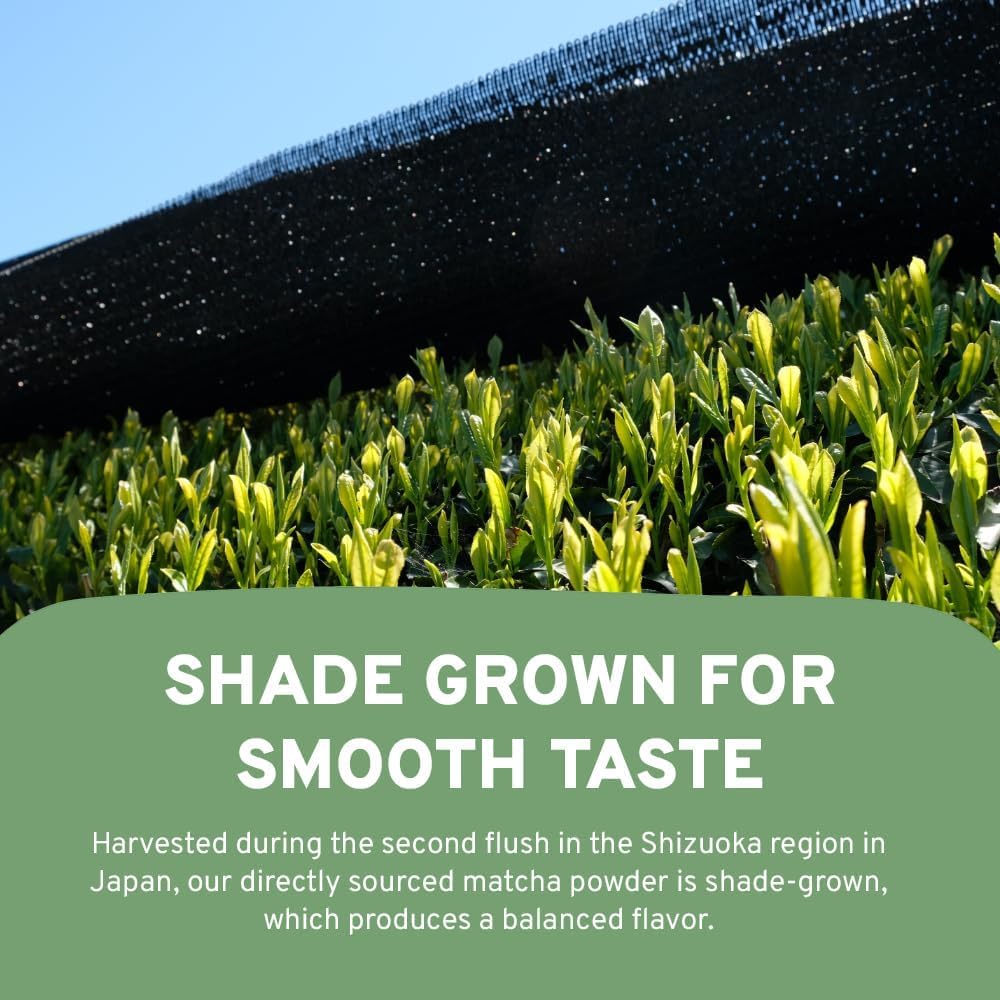 HANDPICK Japanese Matcha Green Tea Powder (100g) - Culinary Grade, Non-GMO, Resealable Packaging 8