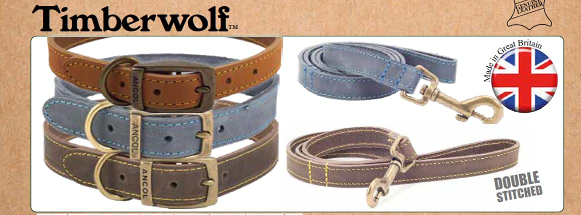 Ancol Handcrafted Heavy Duty Sable Timberwolf Leather Dog Lead | 1m L x 19mm W | Medium Dog Size 5