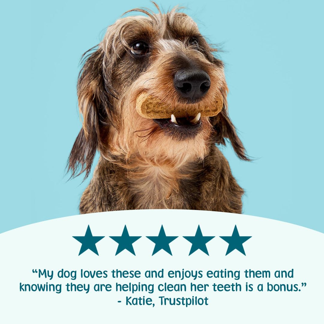 Scrumbles Gnashers Daily Dental Sticks for Dogs - Reduces Tartar by 80% | Grain Free Veggie | 7 Sticks