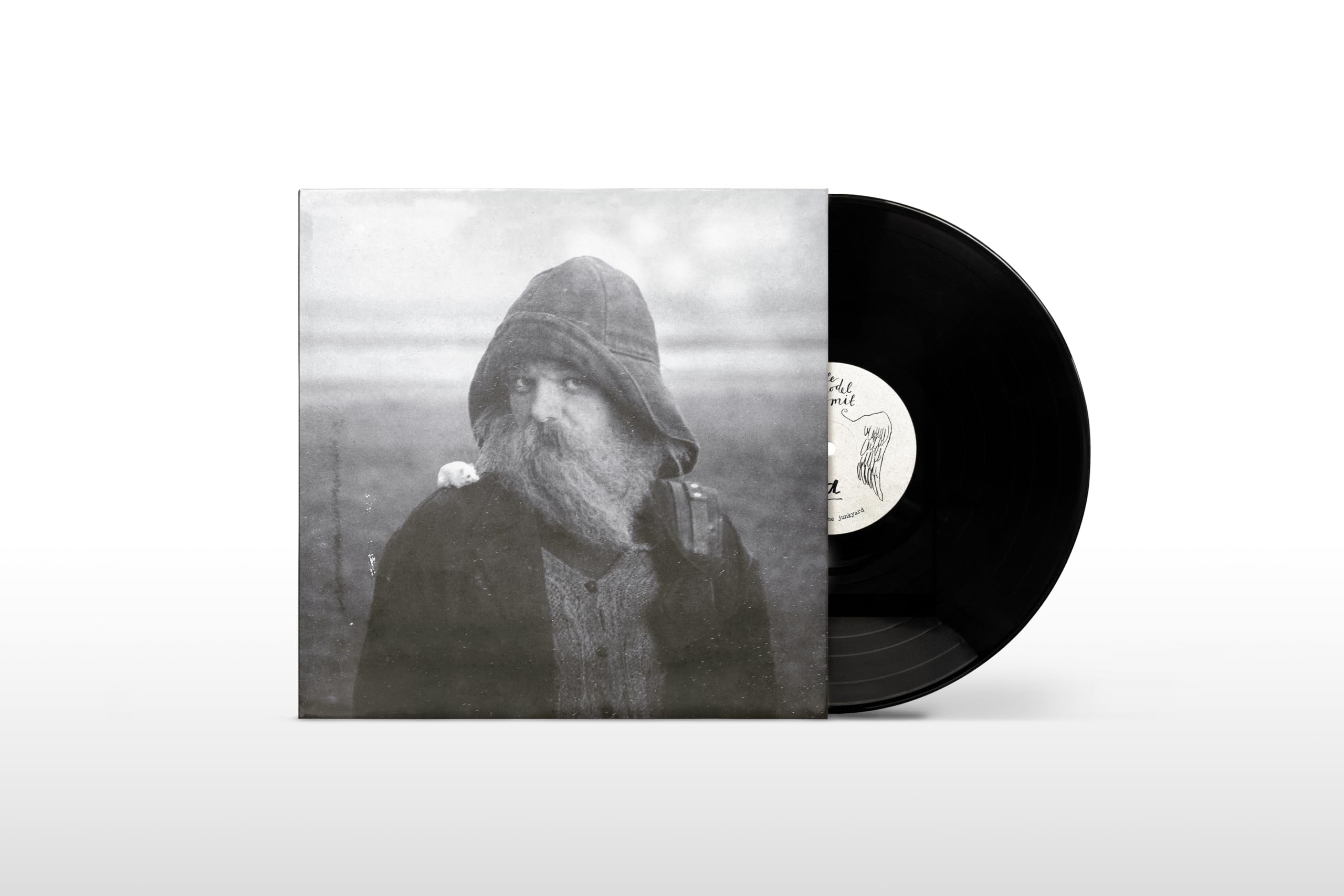 mary in the junkyard - Role Model Hermit [VINYL]