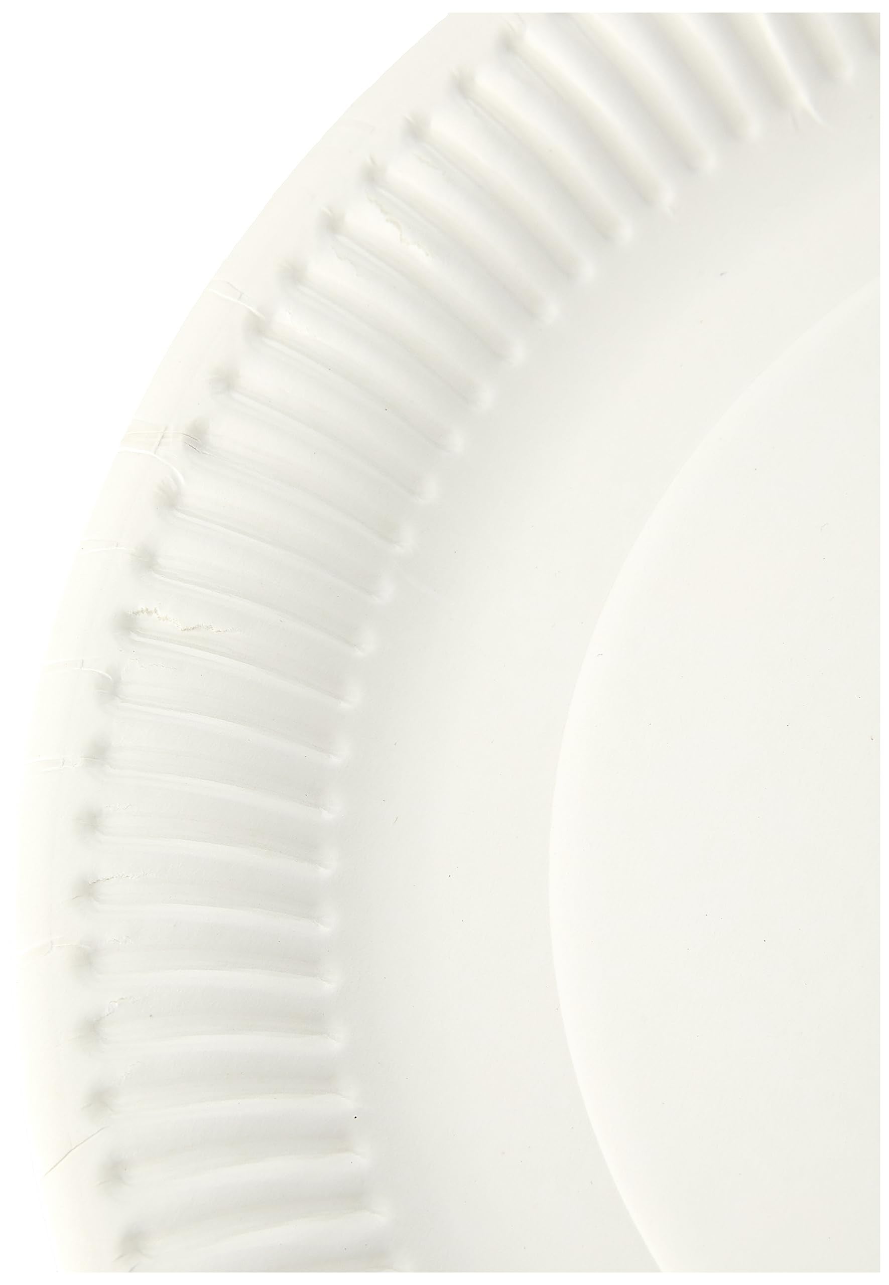 Paper Plates 23cm - Pack of 100 | 9 Inch Disposable Party Plates 5