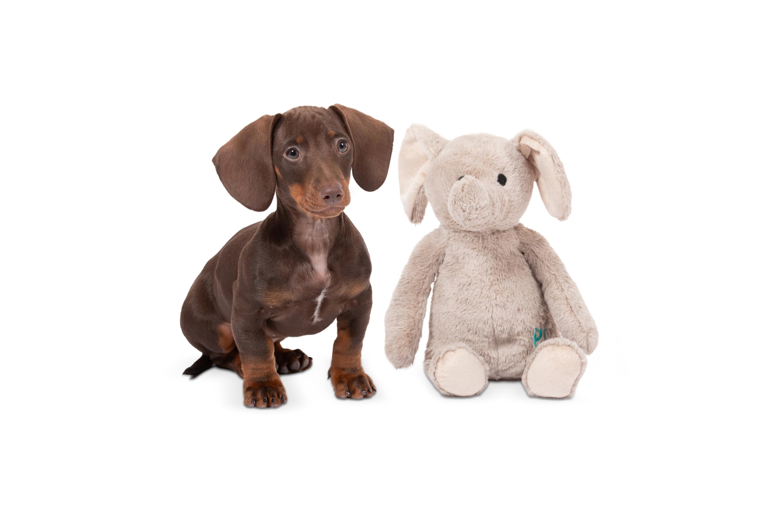 Petface Betty Elephant Plush Dog Toy - Lightweight & Durable | Small Breeds 8