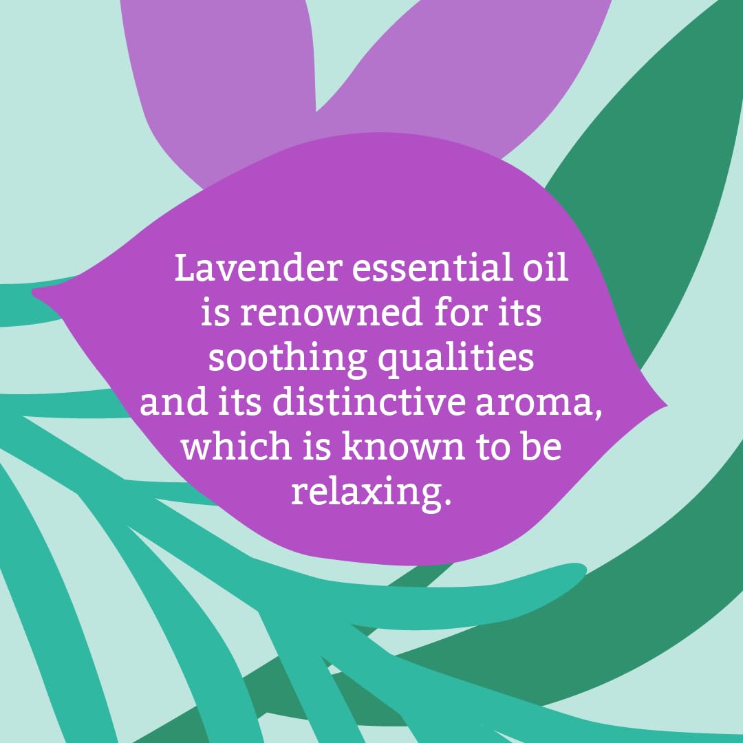 Faith in Nature - Lavender Hand Soap Bar (100g) 6