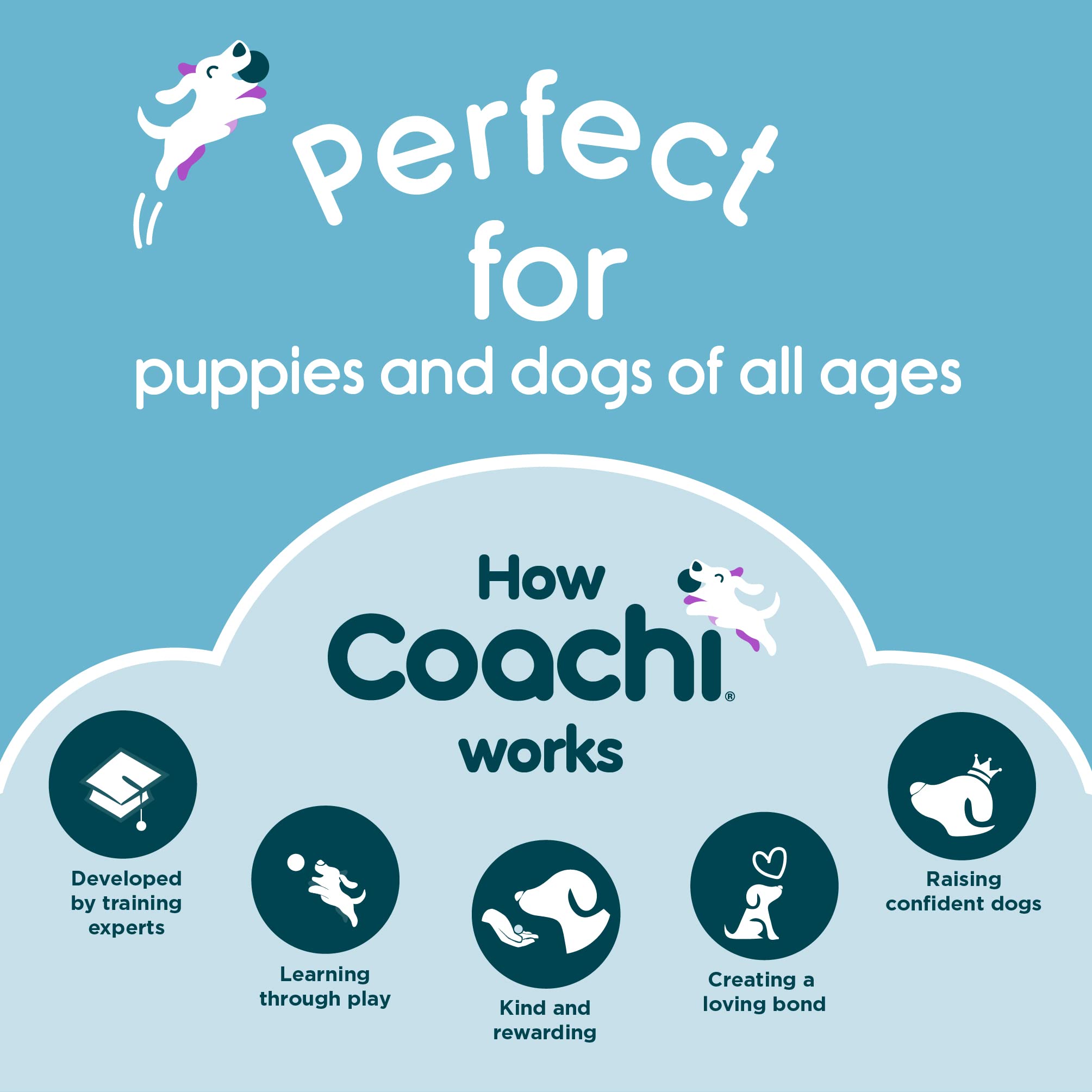Coachi Chase & Treat Interactive Dog Toy - Treat Dispensing for Training | Polyester 6