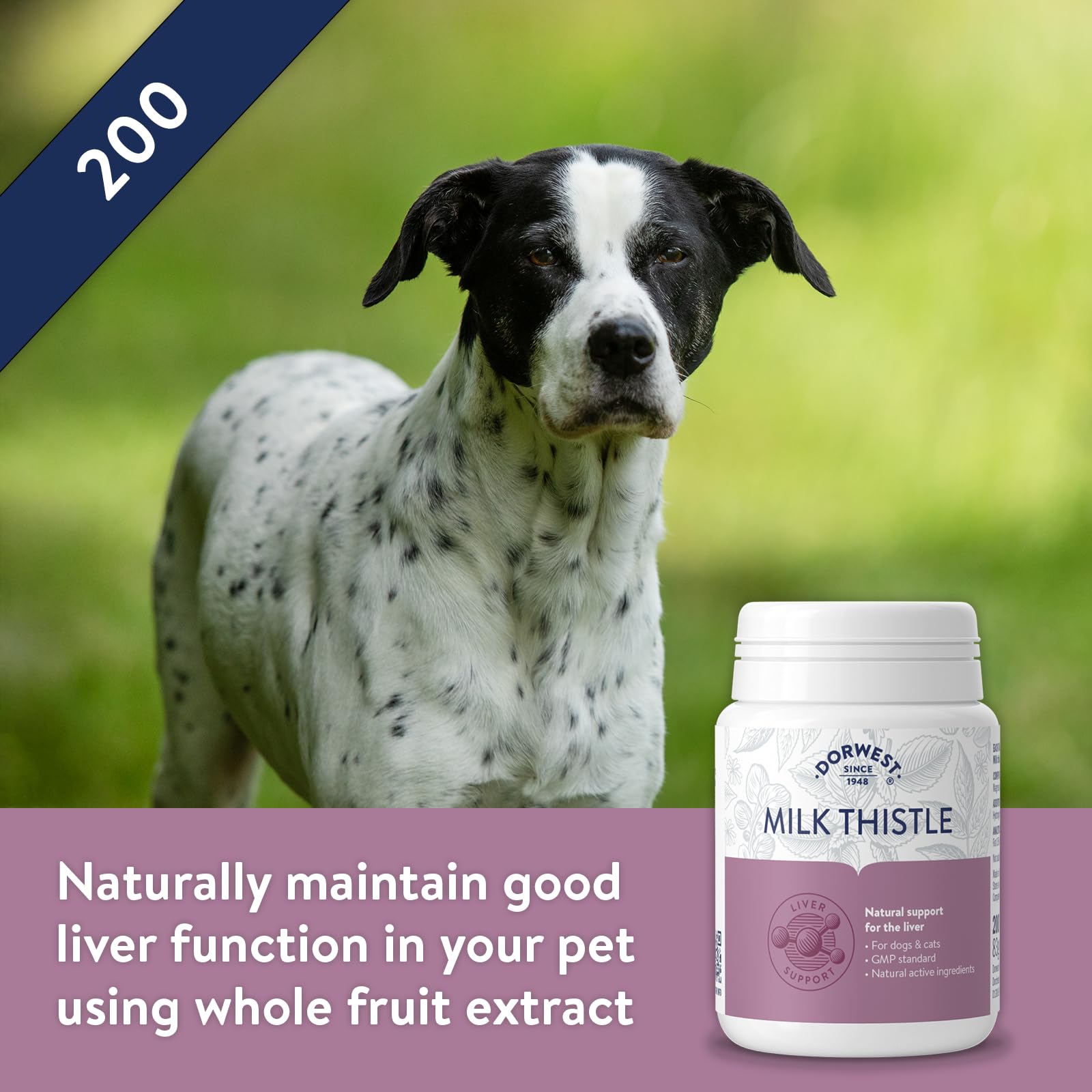 DORWEST HERBS Milk Thistle Tablets for Dogs and Cats - Supports Liver Function | 200 Tablets