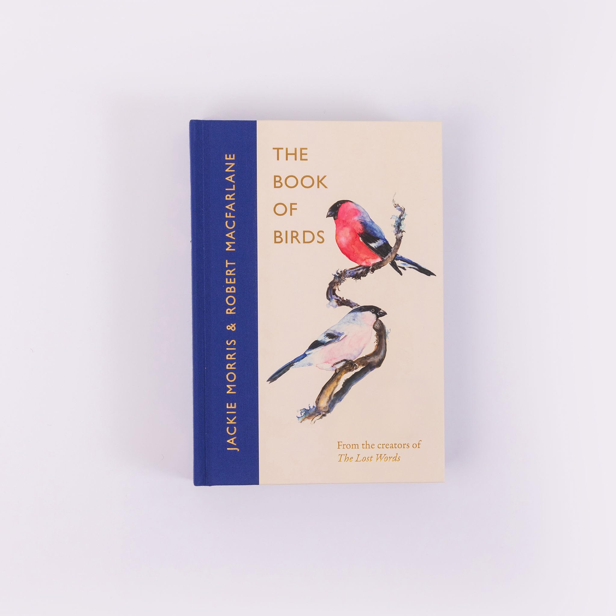 Morris & Macfarlane - The Book of Birds | Hardcover Field Guide to Declining British Bird Species 8