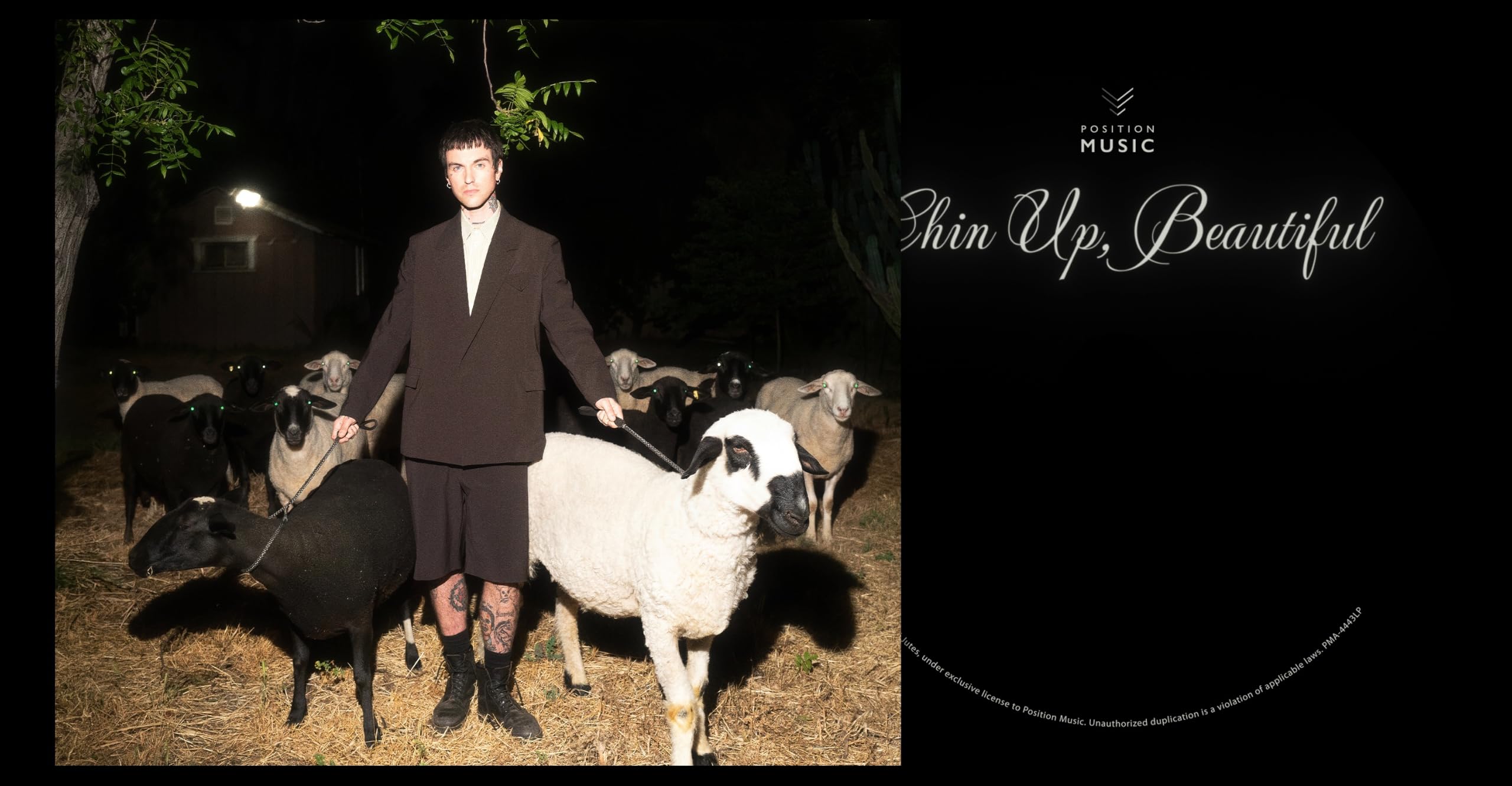 Jutes - Chin Up, Beautiful [CD]