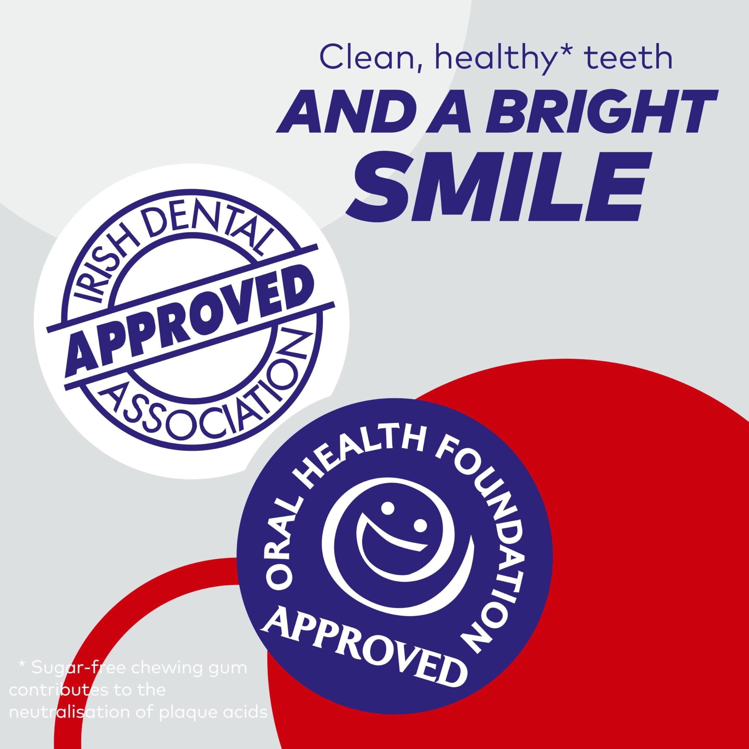 Extra - White Chewing Gum Sugar Free with Xylitol, Classic Mint Flavor, 6 Bottles (276 Pieces) 4