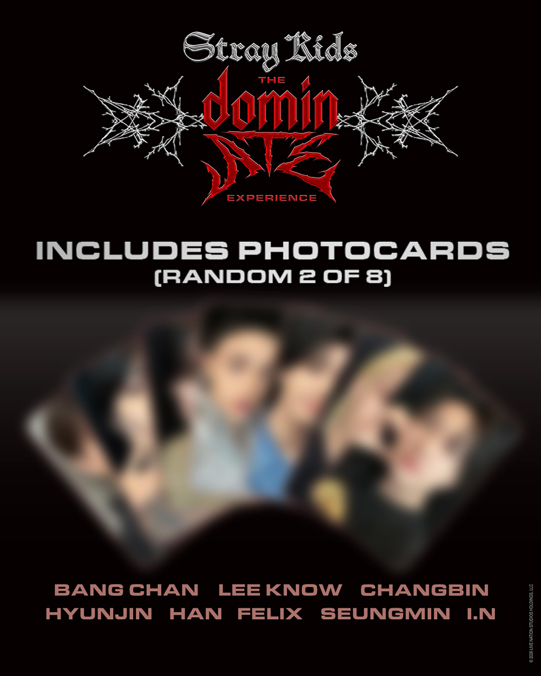 Stray Kids: The dominATE Experience [DVD]