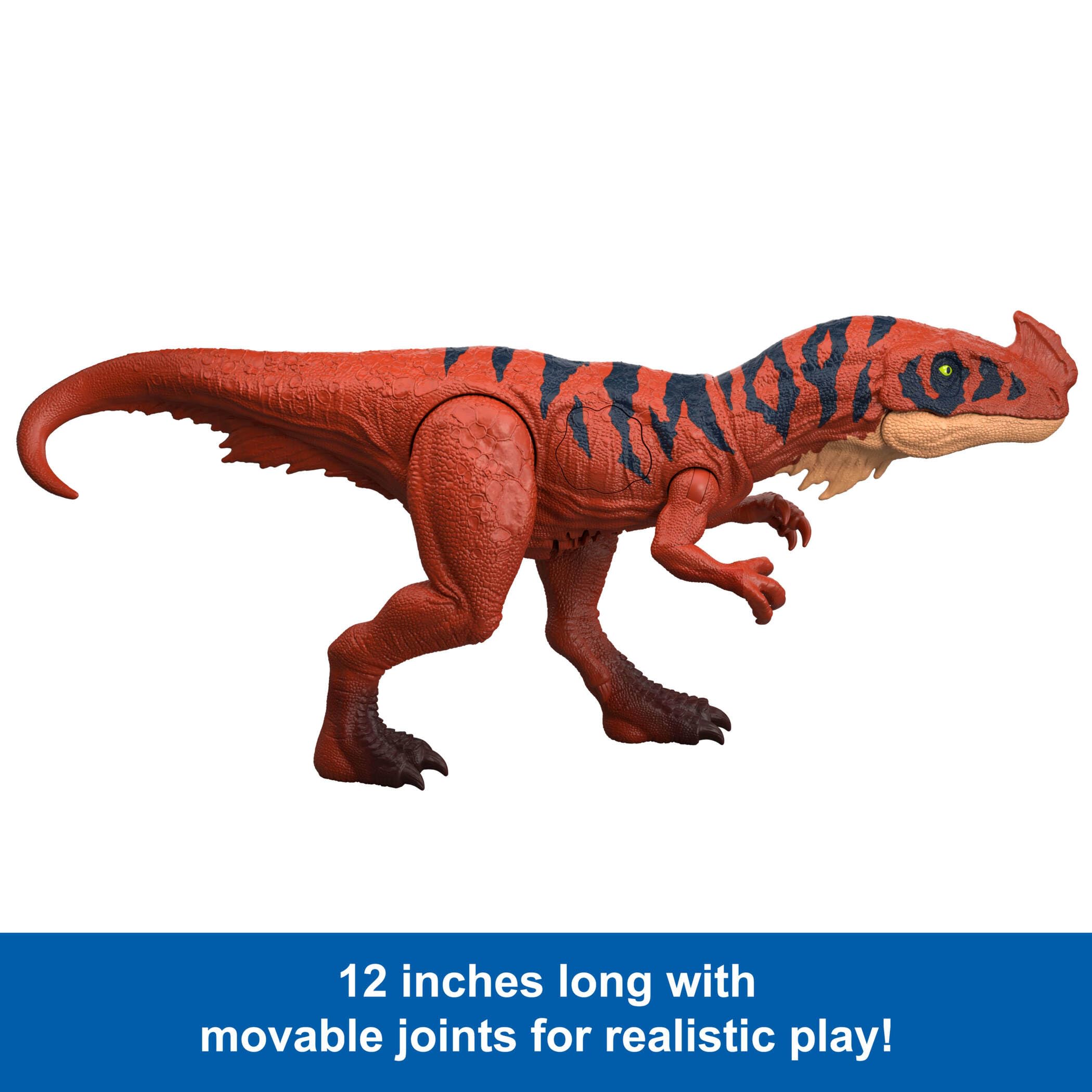 Mattel Jurassic World Wild Roar Afrovenator Dinosaur Action Figure Toy | 12.8in Long | Ages 4+ 4