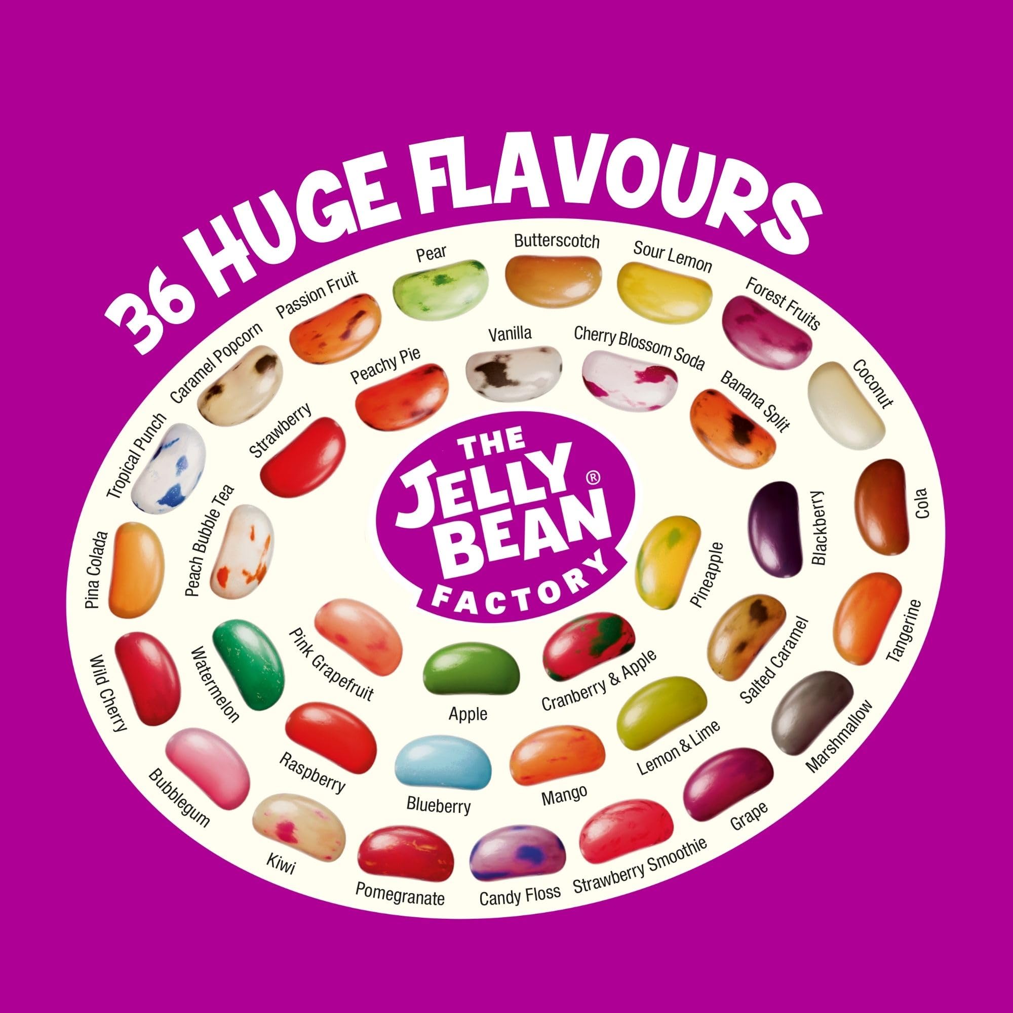 The Jelly Bean Factory - 900g Jar of Gourmet Jelly Beans, Gluten Free, Kosher, Natural Flavourings
