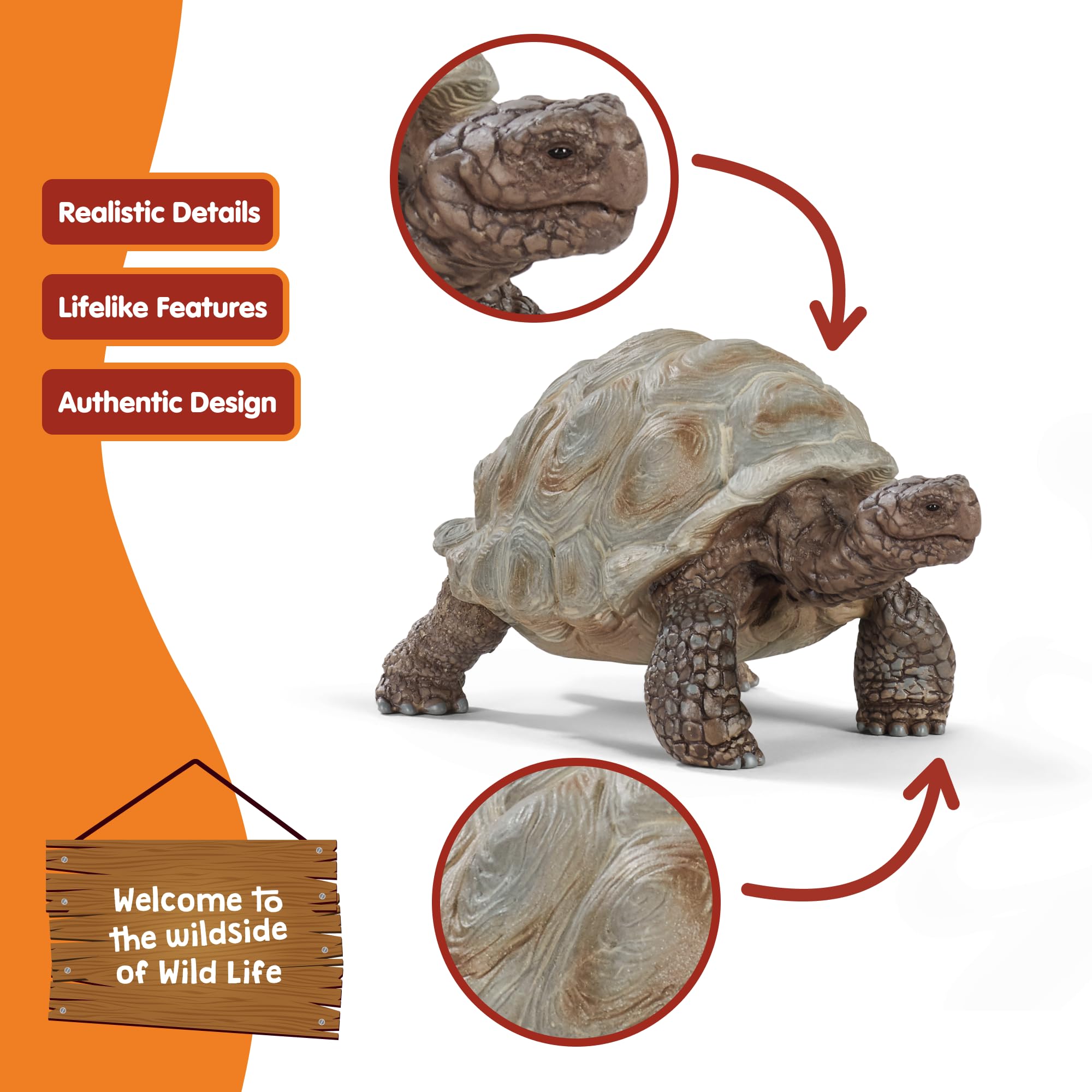 Schleich 14824 Giant Tortoise Wildlife Animal Figure - Educational Play for Toddlers & Kids 8