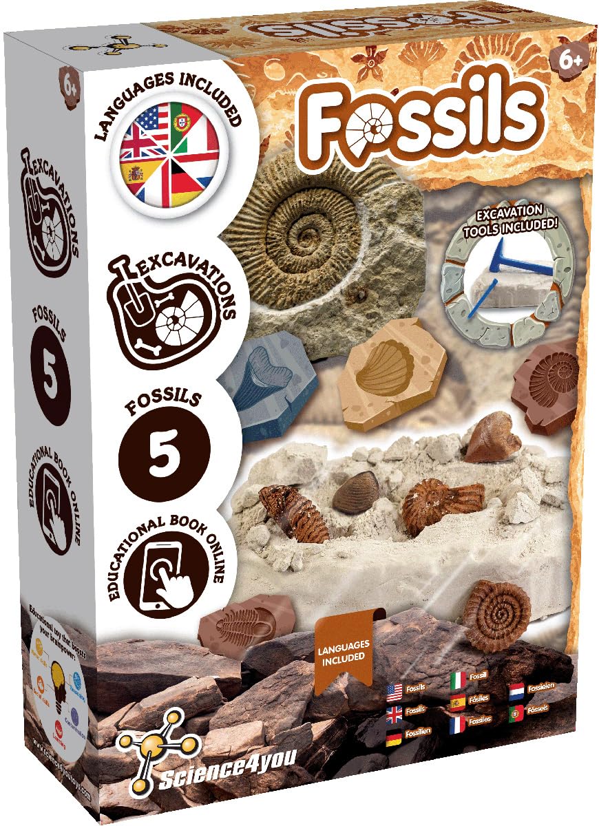 Science4you Fossil Dig Kit for Kids 6+ | Excavation Toy with 5 Fossils | Educational Paleontology Gift