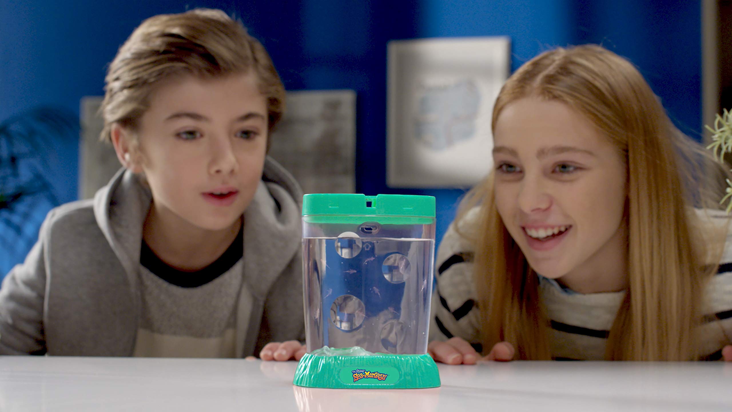 Sea Monkeys Ocean Zoo – Pädagogisches Wissenschaftsset für Kinder von 5 bis 10 Jahren 8