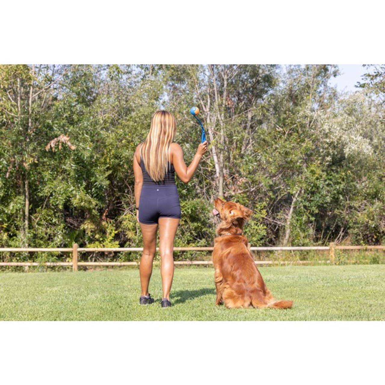 Chuckit! Sport Ball Launcher - Hands-Free Pickup & Throw | Medium Size | 30cm Long